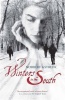 Gstrein, Norbert : Winters in the South