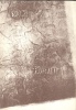 [Tollas Tibor] (szerk.) : Füveskert [Antológia] - Reprint  (Dedikált példány)