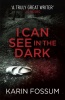 Fossum, Karin : I can See in the Dark
