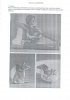 Lidell, Lucy - Narayani és  Giris Rabinovitch : Sivananda jóga kézikönyv