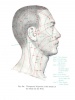 An Outline of Chinese Acupuncture