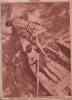 Pesti Napló 1933 - Képes Műmelléklet
