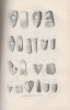Hampel József (szerk.) : Archeologiai értesítő. 1897. (Komplett évf.) - Új folyam XVII. kötet 1-5. sz.