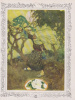 Newman, Isidora - Pogány Willy (illusztrálta) : Tündér-virágok. Regék a virágok életéből