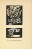 Rosner, Karl : Ungarische Buchkunst - The art of the Hungarian book