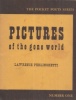 Ferlinghetti, Lawrence : Pictures of the Gone World