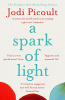 Picoult, Jodi : A Spark of Light