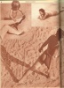 Pesti Napló 1931 - Vasárnapi Képes Műmelléklet