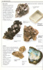 Pellant, Chris : Kőzetek és ásványok - Képes ismertető a világ több mint 500 kőzetéről és ásványáról