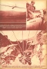 Pesti Napló 1935 - Képes Műmelléklet  [Komplett évfolyam]