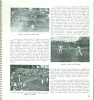 Herzum János  (szerk.) : A Magyar Országos Lawn-Tennis Szövetség 1939. évi évkönyve