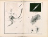 Littrow's von J. J. : Atlas des Gestirnten Himmels für Freunde der Astronomie