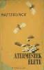 Maeterlinck, Maurice : A termeszek élete