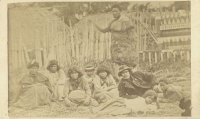 Allen, J.[oseph] W.[eaver] : Bennszülöttek Új-Zéland Nelson nevű régiójában. Aboriginals of Nelson, New Zealand. [Fotó. Photo.]