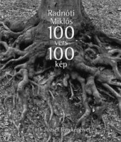 Radnóti Miklós - Tóth József (fotó) : 100 vers 100 kép