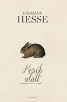 Hesse, Hermann : Kerék alatt
