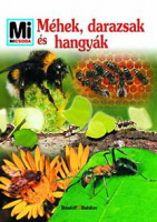 Steghaus-Kovac, Sabine : Méhek, darazsak és hangyák