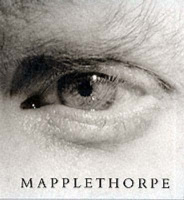 Danto, Arthur C. (Essay by) : Mapplethorpe - Prepared in collaboration with The Robert Mapplethorpe Foundation
