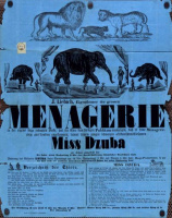 J. Liebich eigenthümer der grossen Menagerie … MISS DZUBA [Liebich Ignác állatsereglete]   (Cirkuszi plakát a XIX. század közepéről)