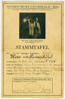 Stammtafel. Oesterreichischer Foxterrier-Klub. Wien. [FOXTERRIER TÖRZSKÖNYV. 1936.] 