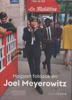 Meyerowitz, Joel : Hogyan fotózok én