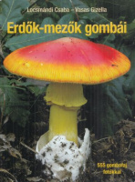Locsmándi Csaba - Vasas Gizella : Erdők-mezők gombái