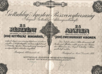 Gottschlig Ágoston Részvénytársaság  25 Részvény egyenként teljesen befizetett (200) Kettőszáz koronáról Budapest, 1923