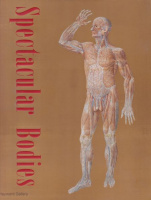 Kemp, Martin : Spectacular Bodies - The Art and Science of the Human Body from Leonardo to Now