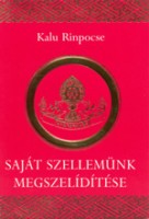 Kalu Rinpocse - Paltrul Rinpocse : Saját szellemünk megszelidítése - Lényegi tanítások a két etikáról