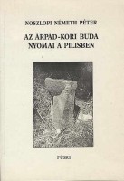 Noszlopi Németh Péter : Az Árpád-kori Buda nyomai a Pilisben