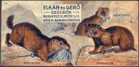 0246.Elkán és Gerő szűcsök, Budapest. (Prémes állatok sorozat 11. Mormota, hörcsög.)