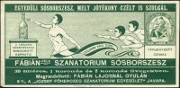 0287. Fábián-féle Szanatórium sósborszesz – Fábián Lajos, Gyula.
