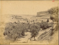 79.     [DAMIANI(?)] : [Mount of Olives (?)], cca. 1880.