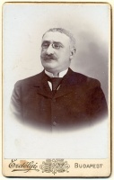 115.     ERDÉLYI, (MÓR) : [Portrait of Ignác Acsády  (1845-1906) Hungarian historian], cca. 1910.
