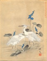 MATSUMURA KEIBUN : (Herons.)