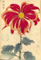 215.     HASEGAWA KEIKA : One Hundred Chrysanthemums