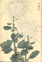 217.     HASEGAWA KEIKA : One Hundred Chrysanthemums