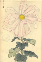 218.     HASEGAWA KEIKA : One Hundred Chrysanthemums 