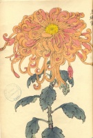 222.     HASEGAWA KEIKA : One Hundred Chrysanthemums