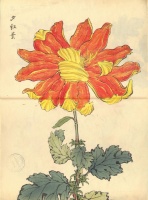 232.     HASEGAWA KEIKA : One Hundred Chrysanthemums. 