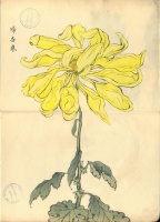 238.     HASEGAWA KEIKA : One Hundred Chrysanthemums. 