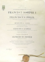Ziffer Alfréd szegedi tiszti főorvos Bécsben szerzett orvosdoktori oklevele, 1890. (hozzá tartozik 1932-ben kiállított igazolása szegedi fogorvosi gyakorlatáról)