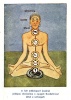 Weninger Antal : A keleti jóga. India misztikája és ősi gyógymódja.