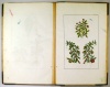1.	 Buchoz, Pierre-Joseph: : Herbier ou collection des plantes medicinales de la Chine