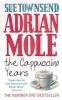Townsend, Sue : Adrian Mole Cappuccino Years 