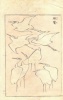 KATSUSHIKA HOKUSAI : (Cranes.) Denshin kaishu-ippitsu gafu.  Drawing Manual – Album of Drawing with one Stroke of the Brush.