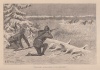 Wells, Henry P. : City Boys in the Woods or a Trapping Venture in Maine