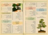 Horváth Tibor (szerk.) : A bonsai. (101 hasznos ötlet)