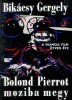 Bikácsy Gergely : Bolond Pierrot moziba megy - A francia film ötven éve