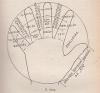 Majthényi György : A kéz beszél - A gyakorlati chiromantia kézikönyve